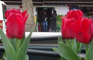 Caddeler laleler ile donatıldı, oluşan görsel...