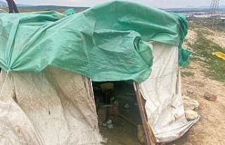 Çadırda uyuşturucu satan torbacıya operasyon