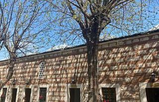 Caferpaşa Külliyesi, Kent Belleği Merkezi oldu