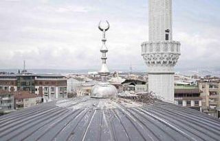 Cami kubbesinde kuluçkaya yatan leyleğe özel yuva