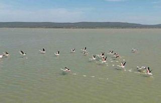 Çanakkale’de Tarihi Alan’daki Suvla Gölü’nün...