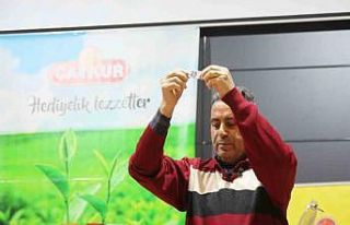 ÇAYKUR’un mevsimlik işçi alım kurası başladı