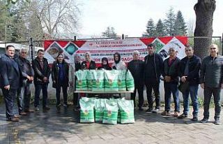 Çiftçilere barbunya tohumları verildi