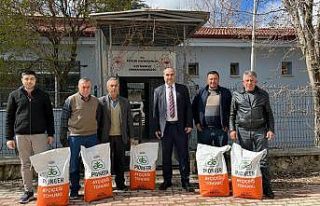 Çiftçilere hibe destekli yağlık ayçiçeği tohumu...
