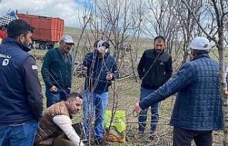 Çıldır’da meyve üreticilerine eğitim verildi