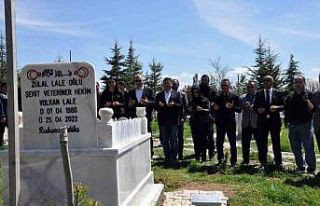 Cinayete kurban giden veteriner hekim Lale, kabri...