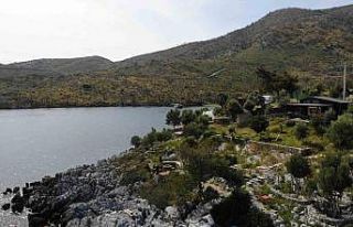 Çökertme Koyu küllerinden yeşeriyor