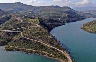 Cumhuriyet tarihinin en büyük yangından sonra griden...