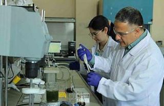 Deniz marulundan çevre dostu proje ürettiler