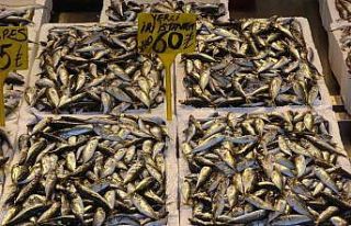 Denizlerde av yasağı başladı ancak balık tezgahlarında...