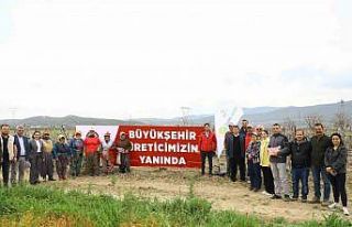 Denizli’de 3 bin 900 dekar alanda biyoteknikle mücadele...