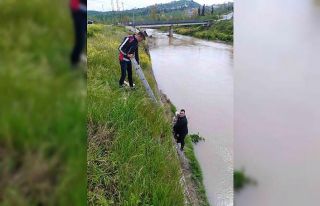 Dere kenarında mahsur kalan köpeği belediye ekipleri...