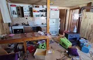 Dev ayı 4 aydır yaylada girilmedik ev bırakmadı