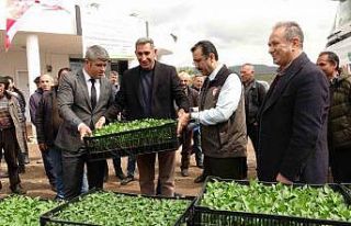 Devlet çiftçiye destek verdi, bağ bahçe sebze...