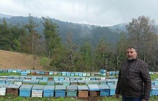 Devletten 30 kovan arı aldı, 230 kovana çıkardı