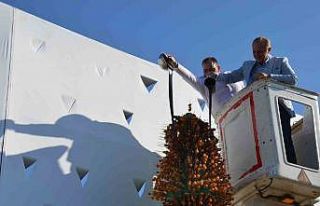 Didim Vegan Festivali’nde yeni rekor denemesi yapıldı