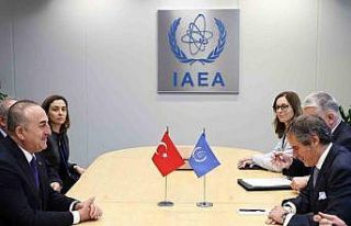 Dışişleri Bakanı Çavuşoğlu, UAEA Başkanı...