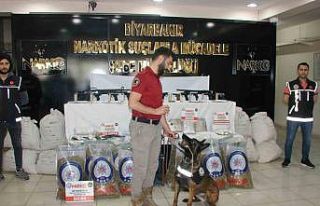 Diyarbakır merkezli 50. ‘Kökünü Kurutma Operasyonunda...