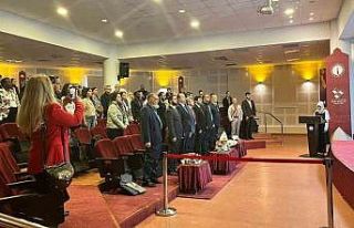 DPÜ’de uluslararası organizasyon