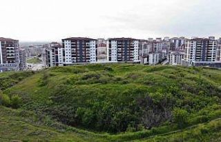 Edirne’de tarihi tabyalar yok olma tehlikesi yaşıyor