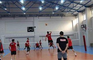 Efeler Ligi’nde play-off’u garantileyen Cizre...