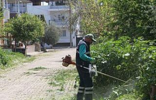 Efeler’in ekiplerinden bahar temizliği