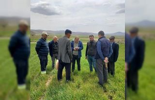 Ekinlerde görülen hastalıklara karşı bilgilendirme...