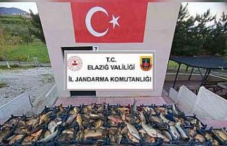 Elazığ’da kaçak balık avına 16 bin lira ceza