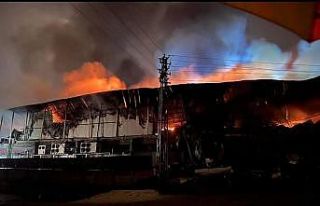 Elazığ’da tavuk fabrikası alev alev yandı