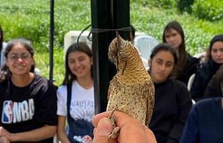 Estonya’dan göç ediyordu, Türkiye’de ilk kez...