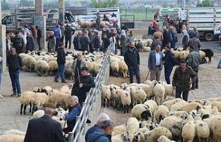 Et fiyatında düşüş bekleniyor