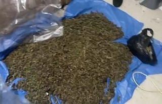 Ev değil uyuşturucu dükkanı