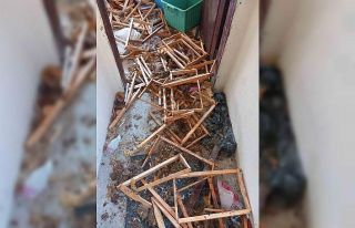 Evini talan eden ayıya "Helal olsun" dedi