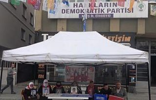 Evladı dağa kaçırılan anne: “Kara bir bayram...