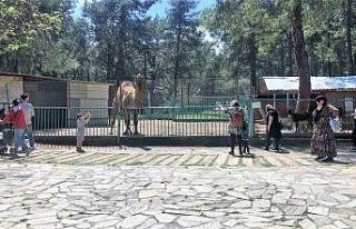 Faciadan dönülen hayvanat bahçesinde önlemler...