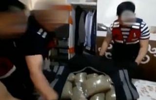 Gaziantep’te 33 kilo bonzai ele geçirildi