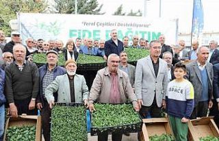 Gaziantep’te çiftçilere 2 milyon adet fide desteği