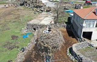 Göçmen Leylekler Hürmetçi Sazlığı’nda