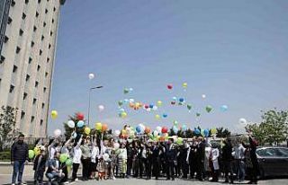 Gökyüzü rengarenk balonlarla ile buluştu