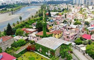 Görenlere huzur veren cami bu sene de sarmaşıklarına...