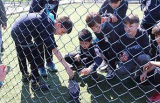 Haylaz karga, okulun maskotu oldu