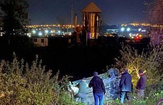 Hayvana çarpmamak için fren yaptı, su kanalına...