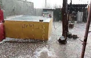 Hazro ilçesinde sağanak sonrası dolu etkisini gösterdi