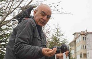 Her gün aynı saatte gelerek güvercinleri elleriyle...