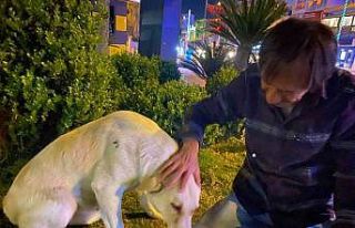 Hurda toplayarak geçimin sağlayan adamın sokak...