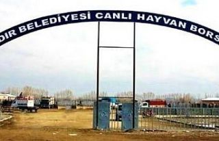 Iğdır Canlı Hayvan Borsası yarın açılıyor