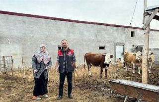 Iğdır’da desteklenen işletmeler denetlendi
