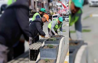 Iğdır’da şehir genelinde çiçek ekimi