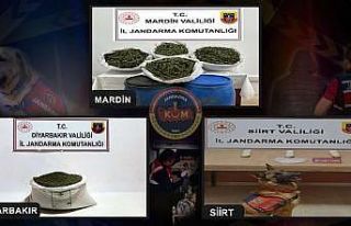 Jandarma uyuşturucu satıcılarına göz açtırmıyor:...