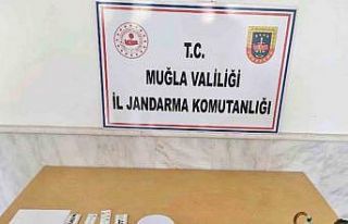 Jandarmadan Datça’da uyuşturucu operasyonu